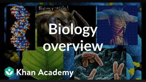 Khan academy biology - 